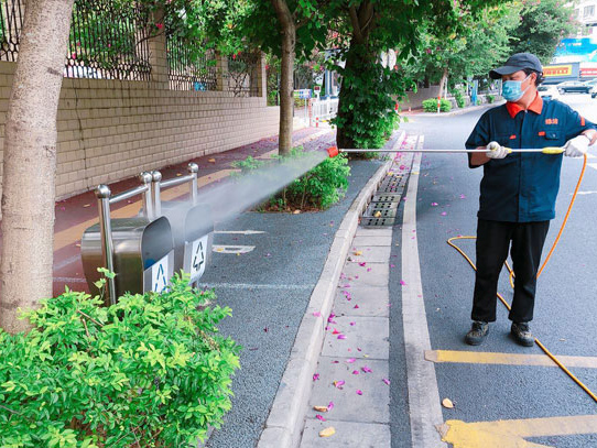城市街道灭蚊蝇.jpg