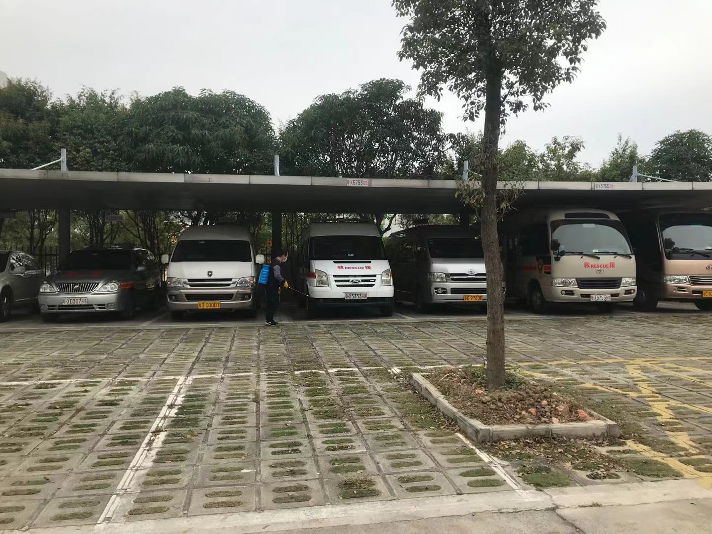 珠海白蚁防治公司 珠海白蚁防治中心 为 