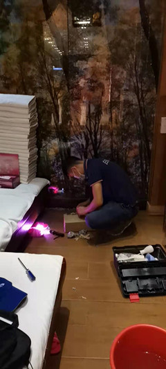 白蚁防治
