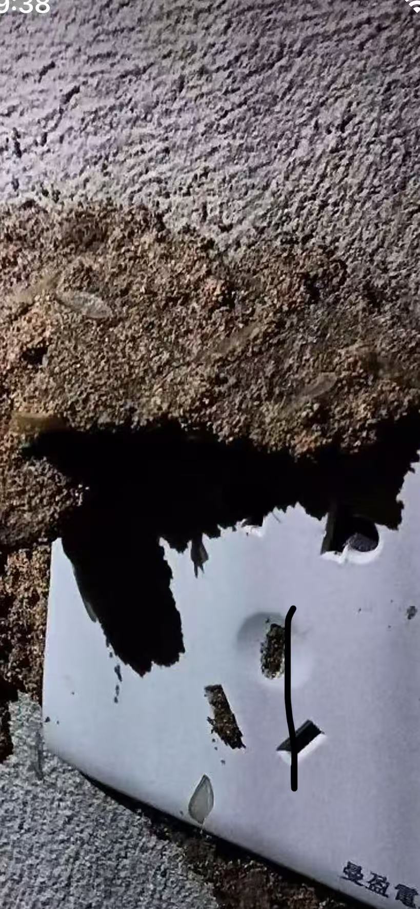 如何发现珠海自己家庭白蚁