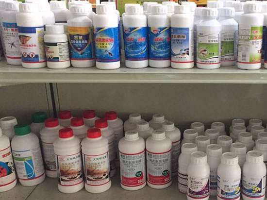 珠海白蚁防治中心