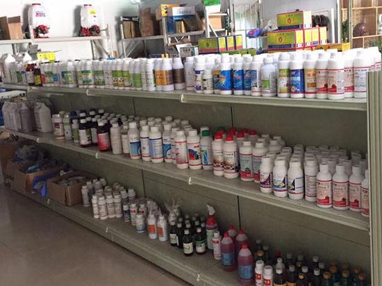 珠海白蚁防治公司园区灭白蚁中的问题处理